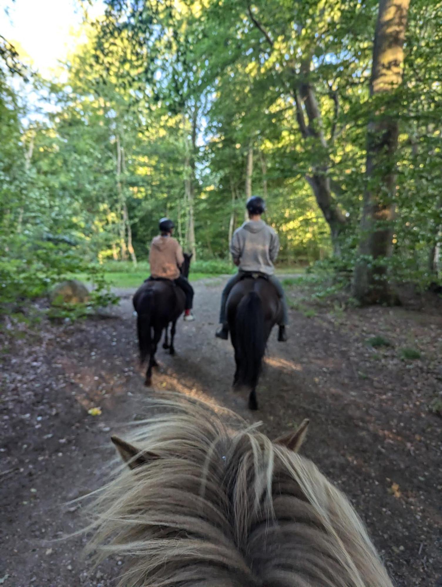 Lejlighed Ved Skov Graested Bagian luar foto