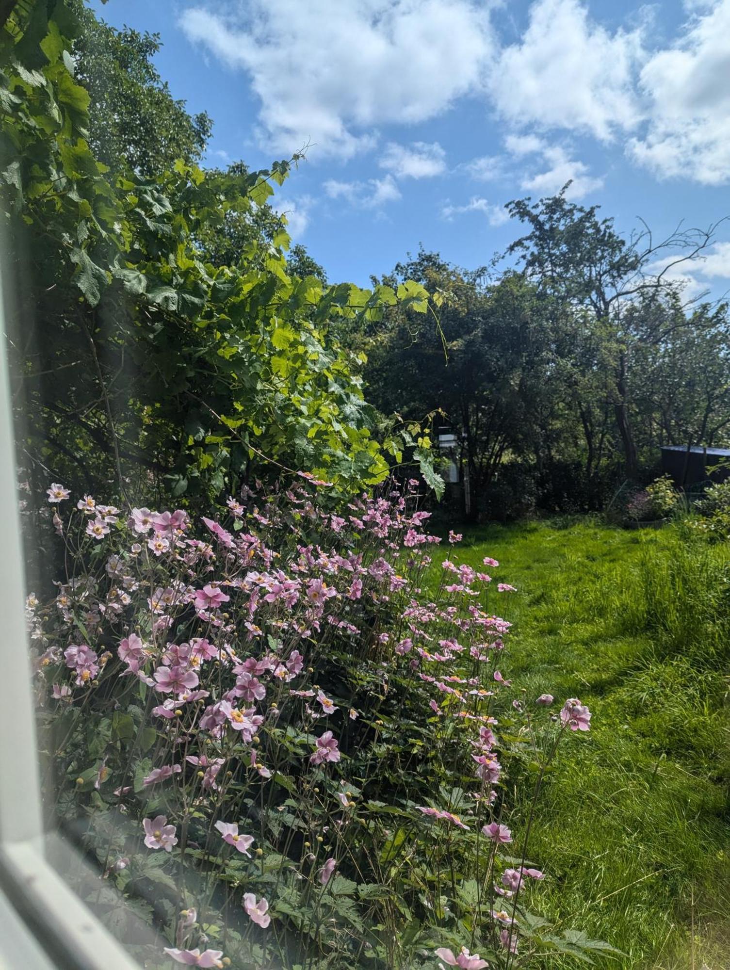 Lejlighed Ved Skov Graested Bagian luar foto