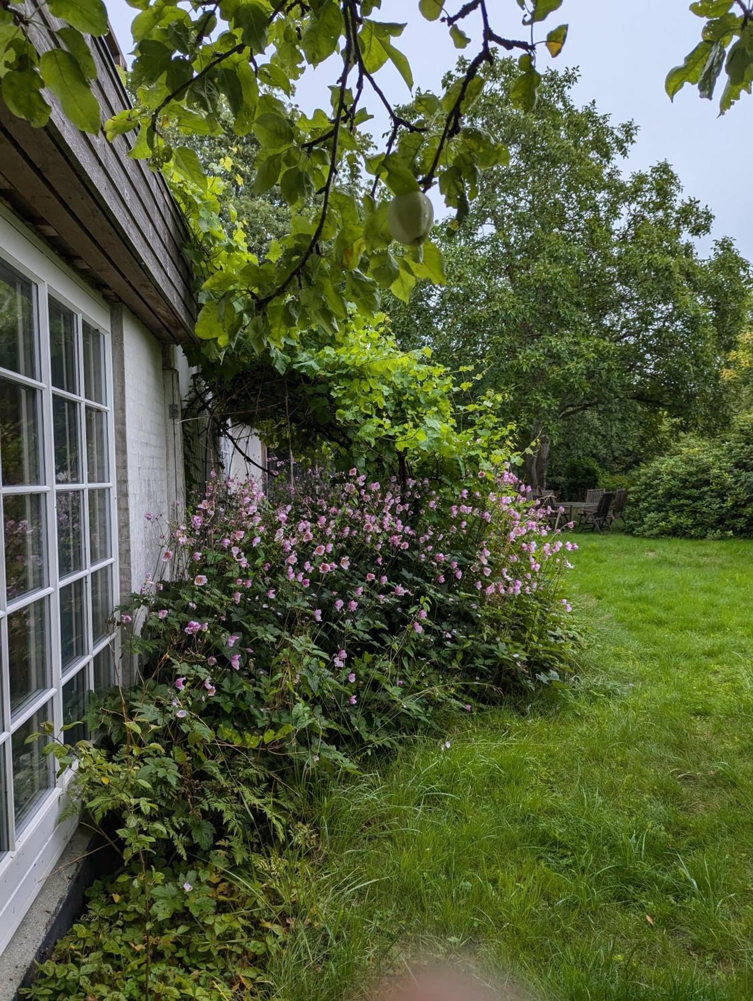 Lejlighed Ved Skov Graested Bagian luar foto
