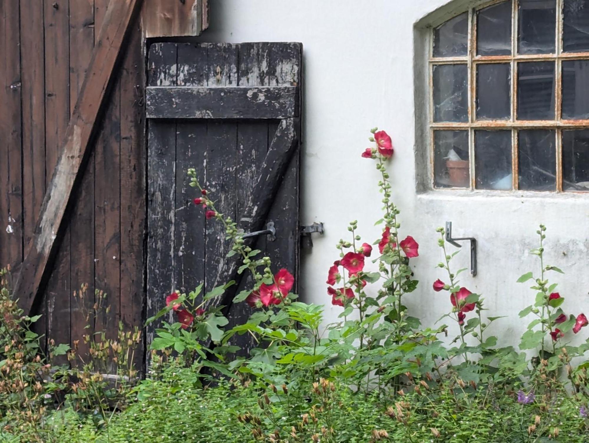 Lejlighed Ved Skov Graested Bagian luar foto
