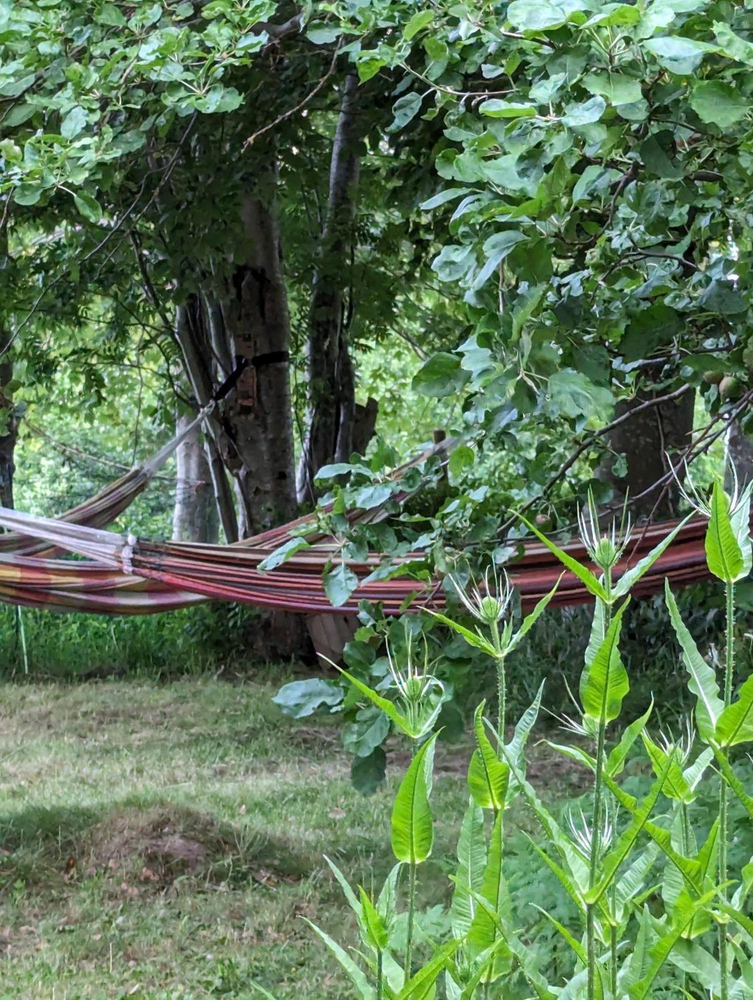 Lejlighed Ved Skov Graested Bagian luar foto